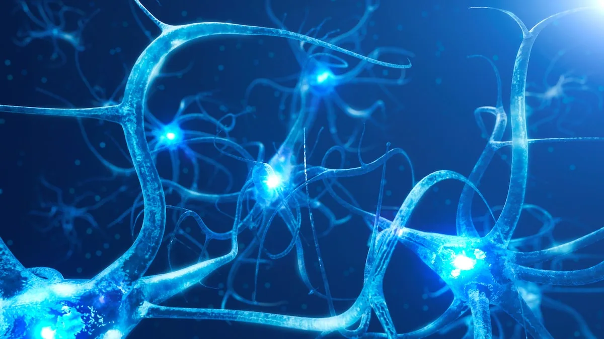 Alzheimer beginnt mit „unsichtbarer Phase“ – Neurologe erklärt frühe Warnzeichen