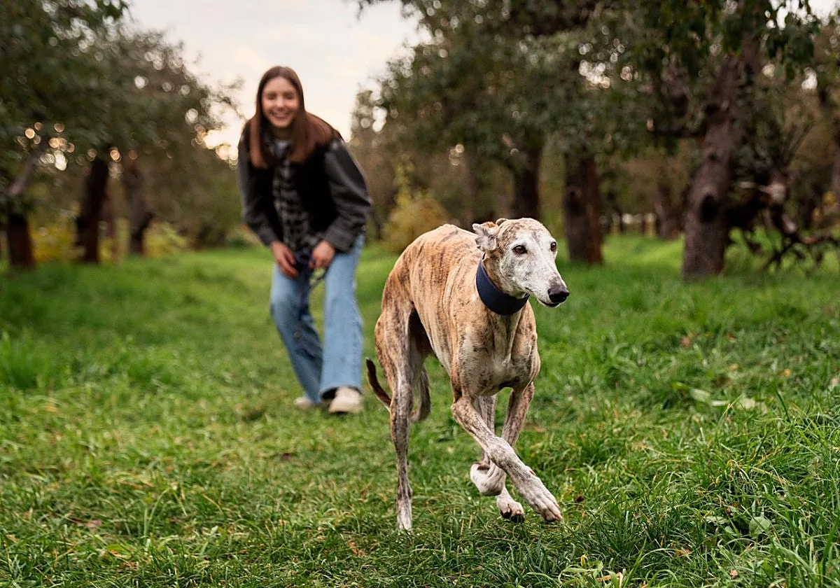 Ya es oficial: la Policía de Madrid confirma que puedes pasear a tu perro suelto por el parque en este horario