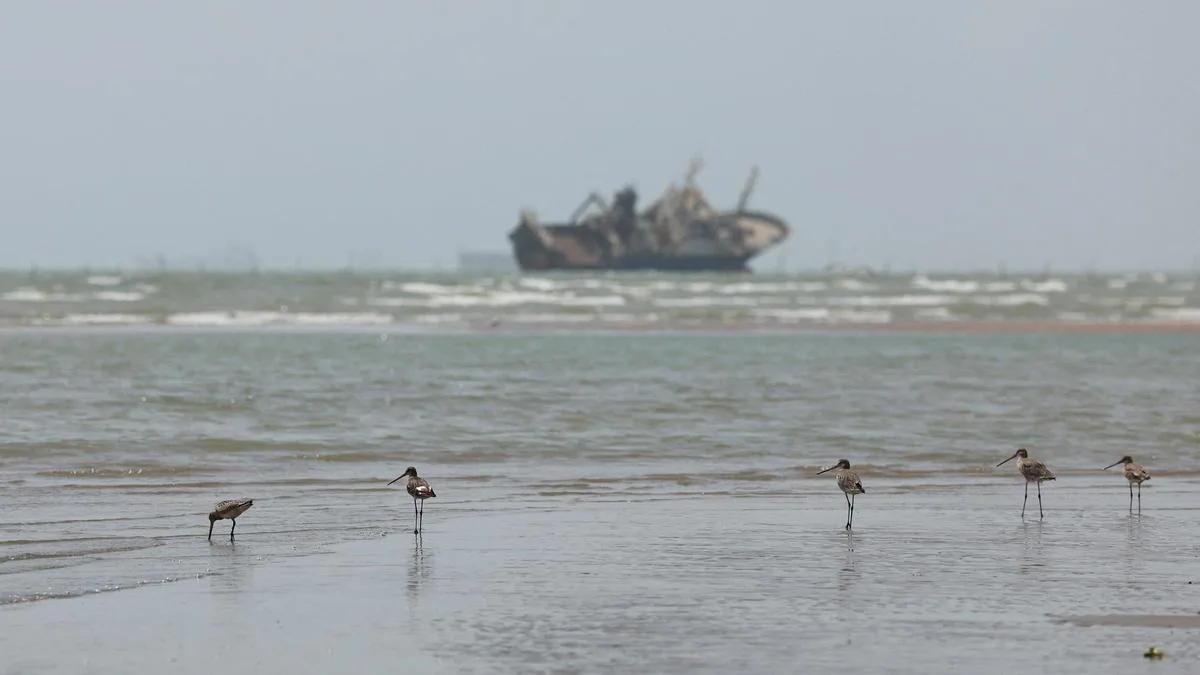 Prepare for crude prices above $100