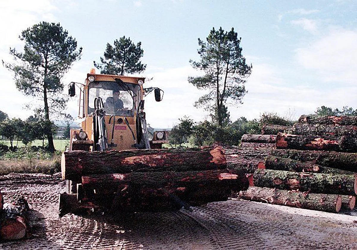 La «oleada» de robos de cobre en aserraderos provoca pérdidas de 300.000 euros