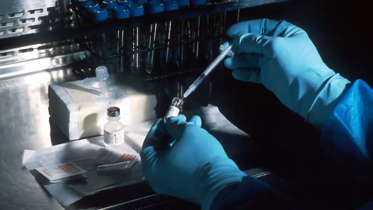 Desarrollan un fármaco que interrumpe la capacidad de las células cancerosas para sobrevivir a los tratamientos