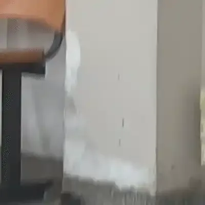 Rato é flagrado circulando pelos corredores de UPA durante a madrugada