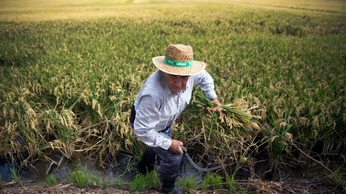 Germán, agricultor: "Se piensan que nos regalan todo, pero nos dejamos la salud. En 2 años me he llenado de canas"