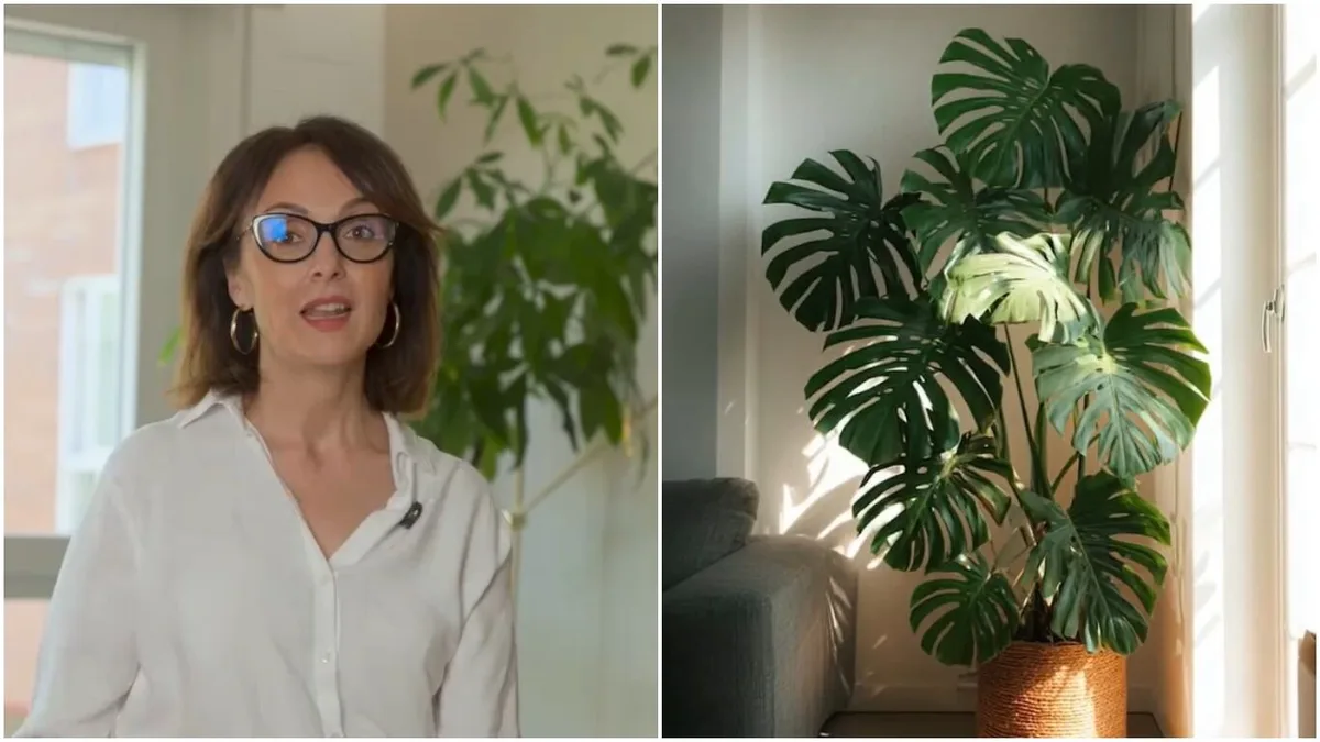Marta Sánchez, especialista en decoración, sobre las plantas: “Podés dividir espacios y hacer que una casa se sienta viva”