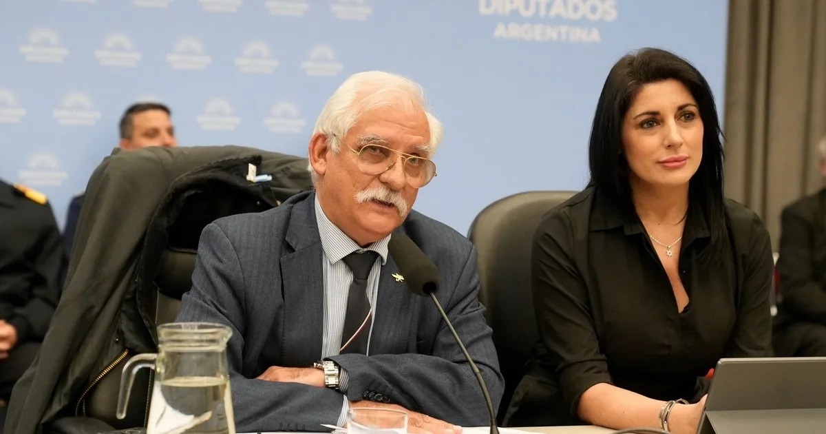 Ley Malvinas: el oficialismo no consigue el dictamen y le hará modificaciones al proyecto