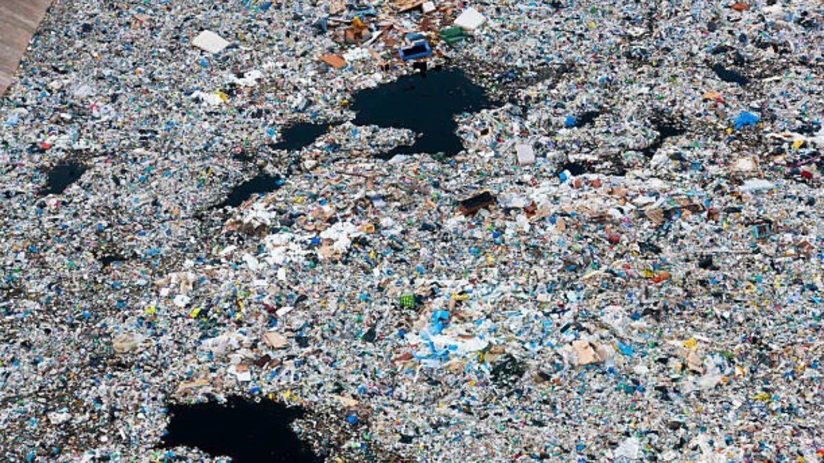 A rotating 'garbage island' spreads over 1.6 million sq km in the Pacific with 50 kilograms of plastic per square kilometre