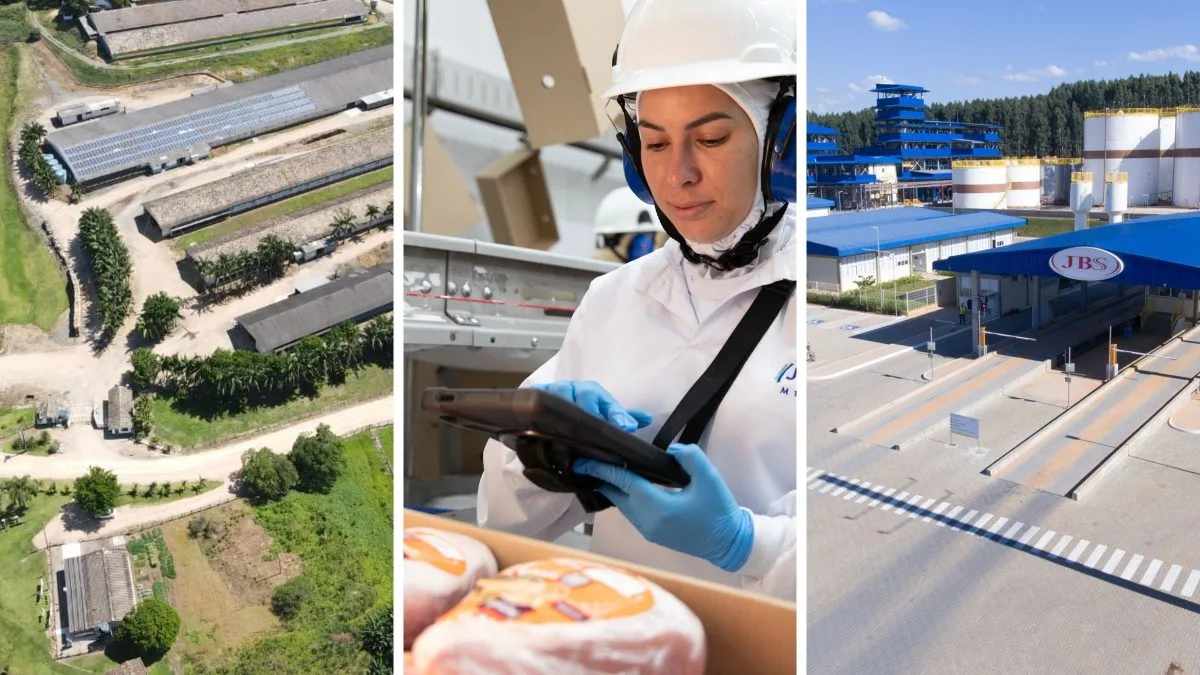Seara já investiu R$ 4 bilhões em sistema que pode elevar em 23% a renda de produtores em SC