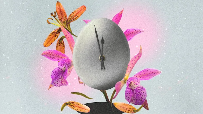Behind the rise of the ‘fertility test’ – and why doctors say it’s misleading women