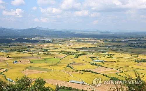 철원군, 전국 8도 로컬푸드 박람회서 '철원오대쌀' 홍보