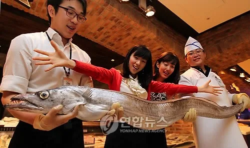 [최만순의 약이 되는 K-푸드] 갈치 한 마리, 여섯 가지 밥상