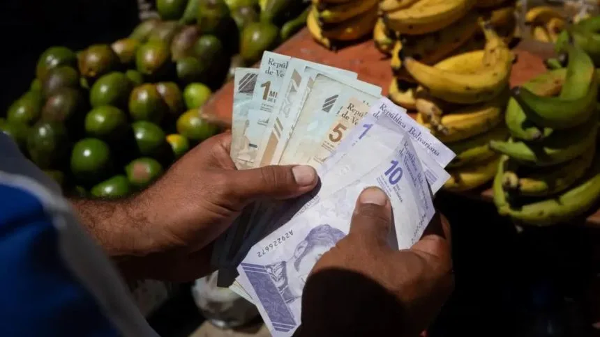 ¿Por qué el bolívar se convirtió en moneda de «compra inmediata»?, esto dice Datanálisis