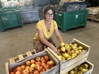 « Sans doute qu’on ne va pas assez mal » : ces fermes qui redoutent de ne pas être aidées, malgré les difficultés