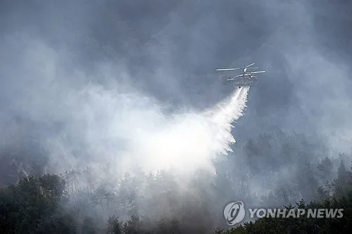 함양 대형산불 낸 '봉대산 불다람쥐' 60대, 징역 12년 선고