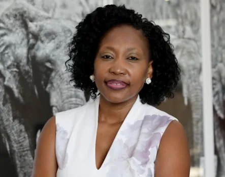 Bidvest’s earnings rise as organic growth drives momentum