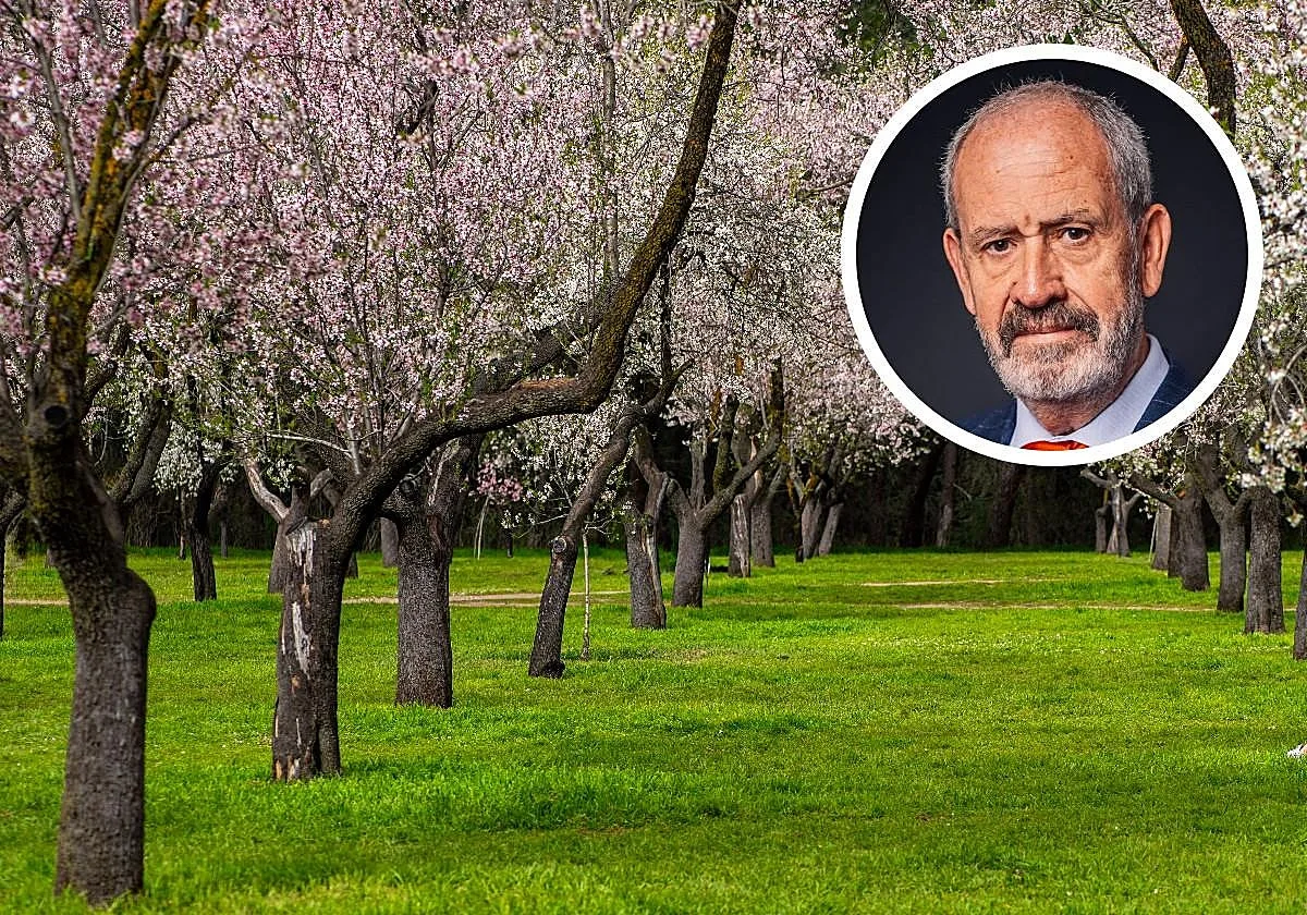 José Luis Marín, psicoterapeuta: «Las personas que ven desde su casa al menos tres árboles y están a 300 metros de un parque, consumen menos antidepresivos»