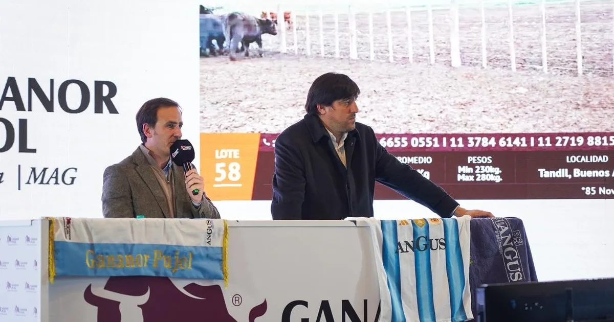 Con más de 12.000 cabezas y facilidades financieras, se viene un nuevo remate en el escenario ganadero