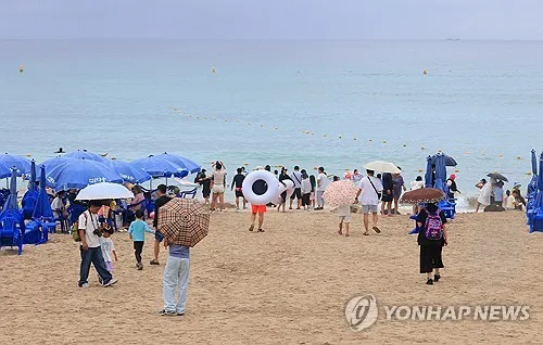 제주, 늦은 오후까지 가끔 비…무더위는 계속돼