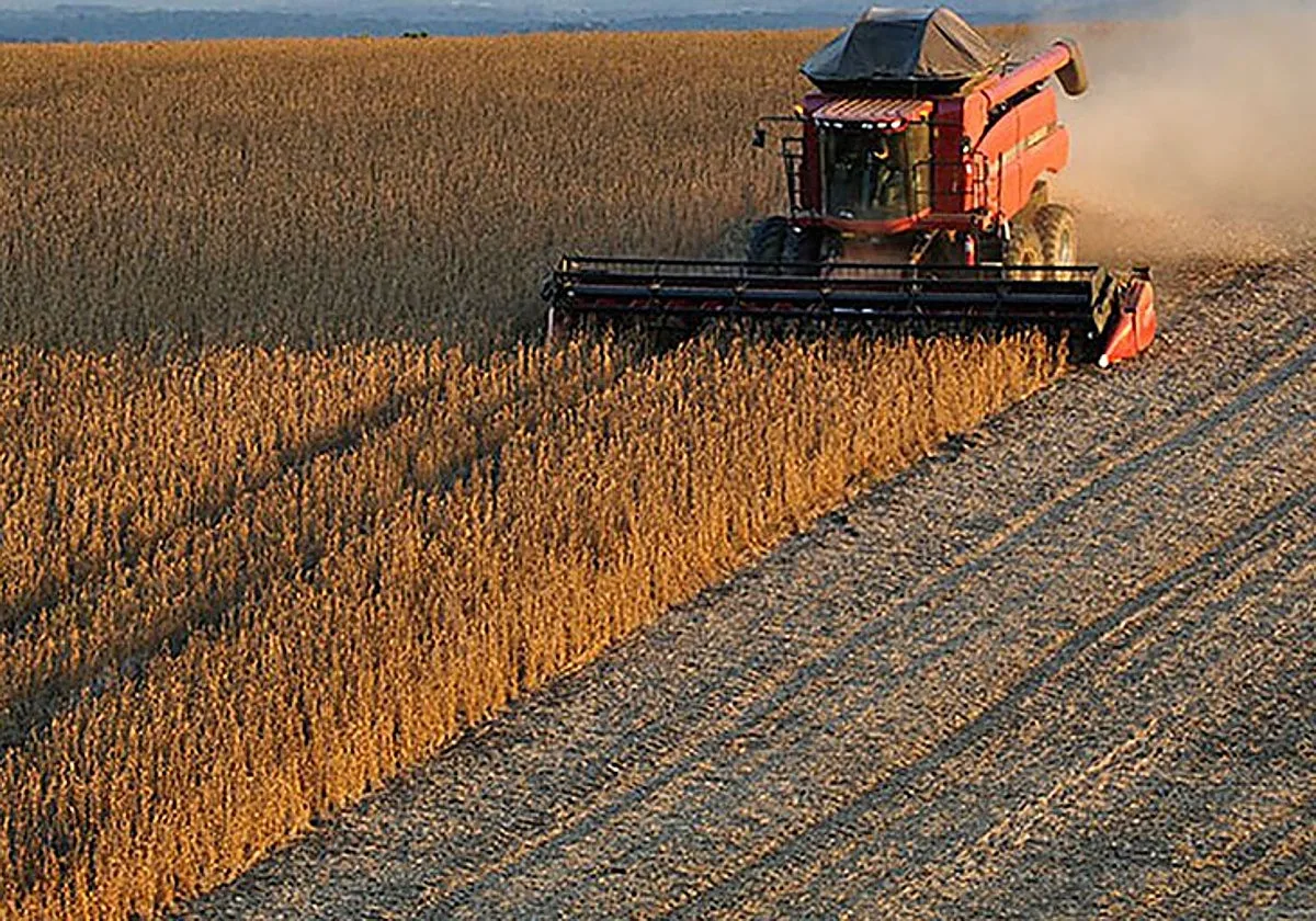 EE.UU. abre por sorpresa el crédito y la ayuda agrícola a Venezuela para impulsar sus exportaciones