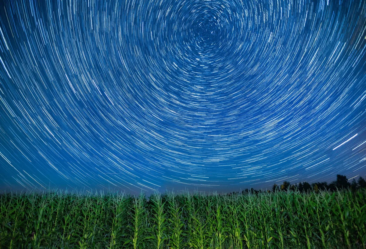 Noche estrellada
