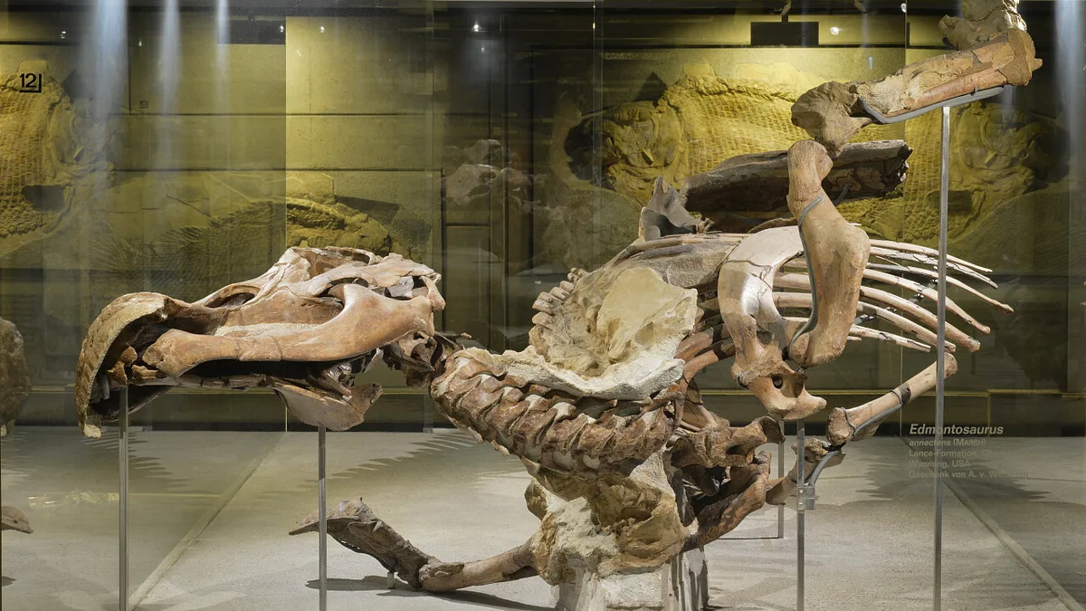 Margot Perl: Die unsichtbare Retterin der Senckenberg-Schätze