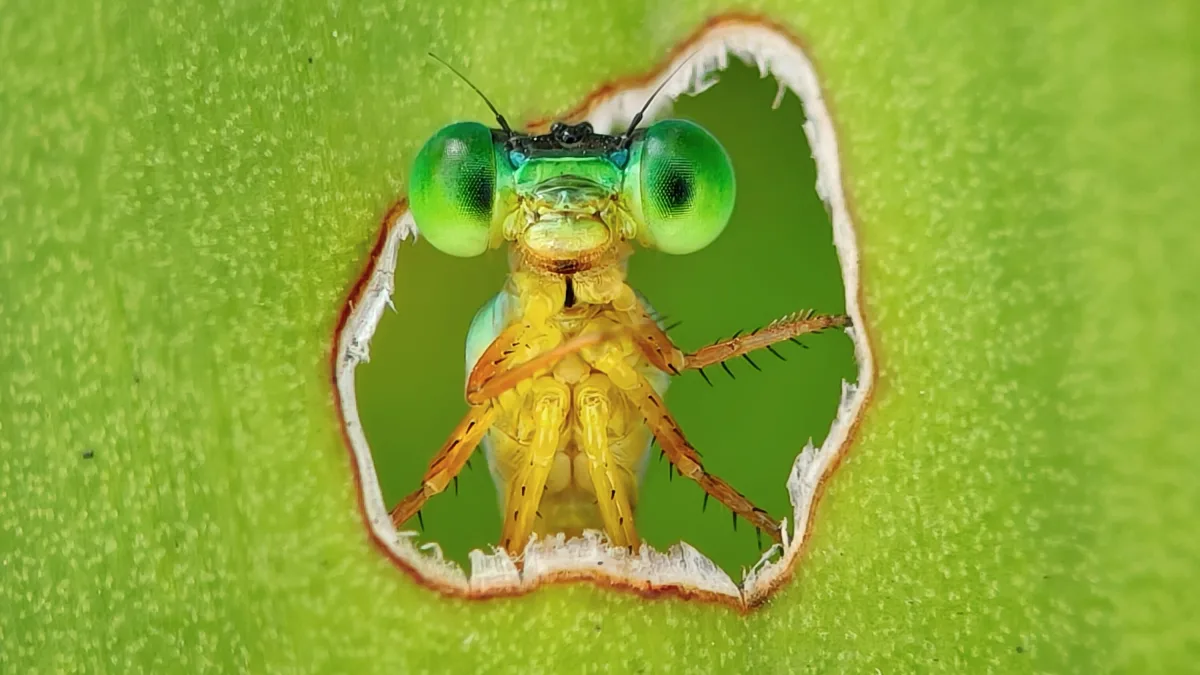 Fotowettbewerb: Von Naturschönheiten und ihren Erforschern