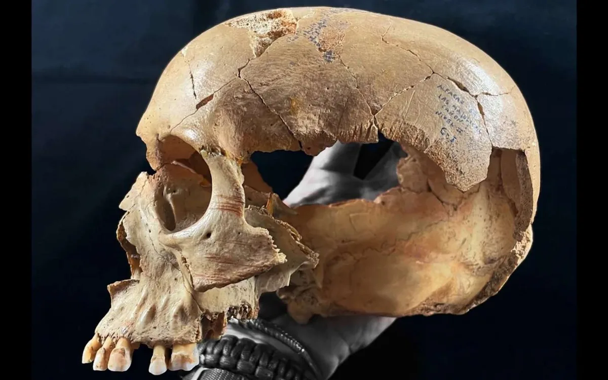 Des crânes transformés en coupes et des os découpés : ce que révèlent trois grottes du Néolithique dans cette région d’Europe