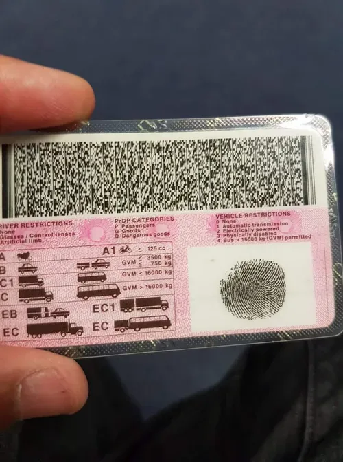 Licence renewal scam warning | Motorists targeted by ‘helpers’ demanding R450