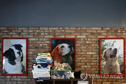 농식품부·나주 공공기관, 유기동물 입양 확산 캠페인