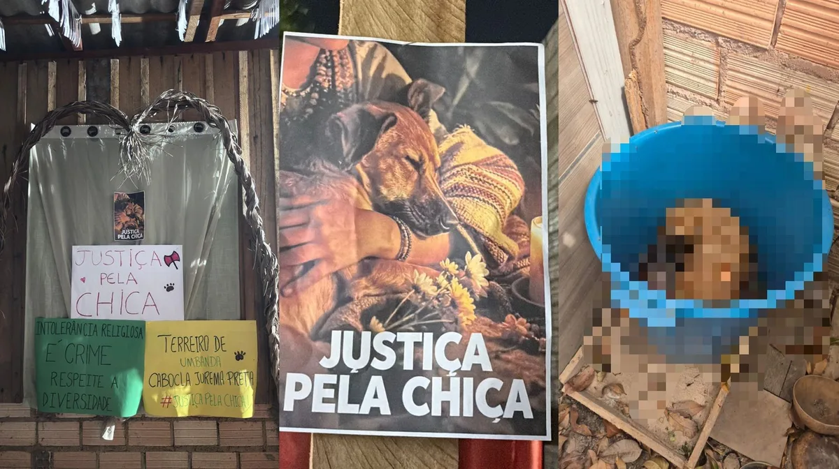 Cadela é encontrada morta com sinais de violência dentro de balde em terreiro em Santarém