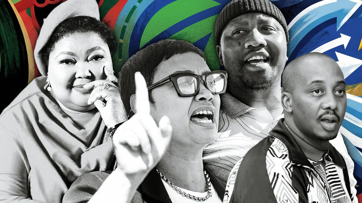 ANALYSIS: From ActionSA to MK, the curious candidates of the local elections
