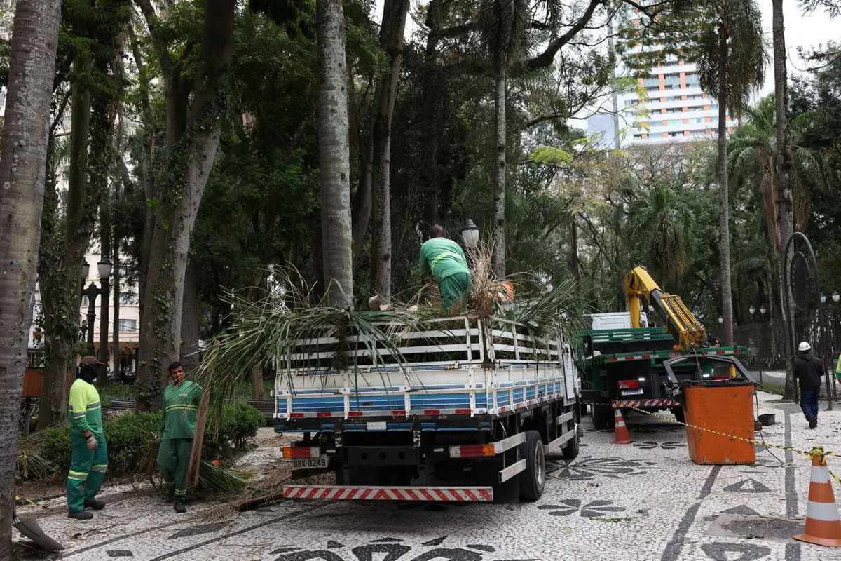 Mais de 100 árvores da Praça Osório passarão por poda preventiva