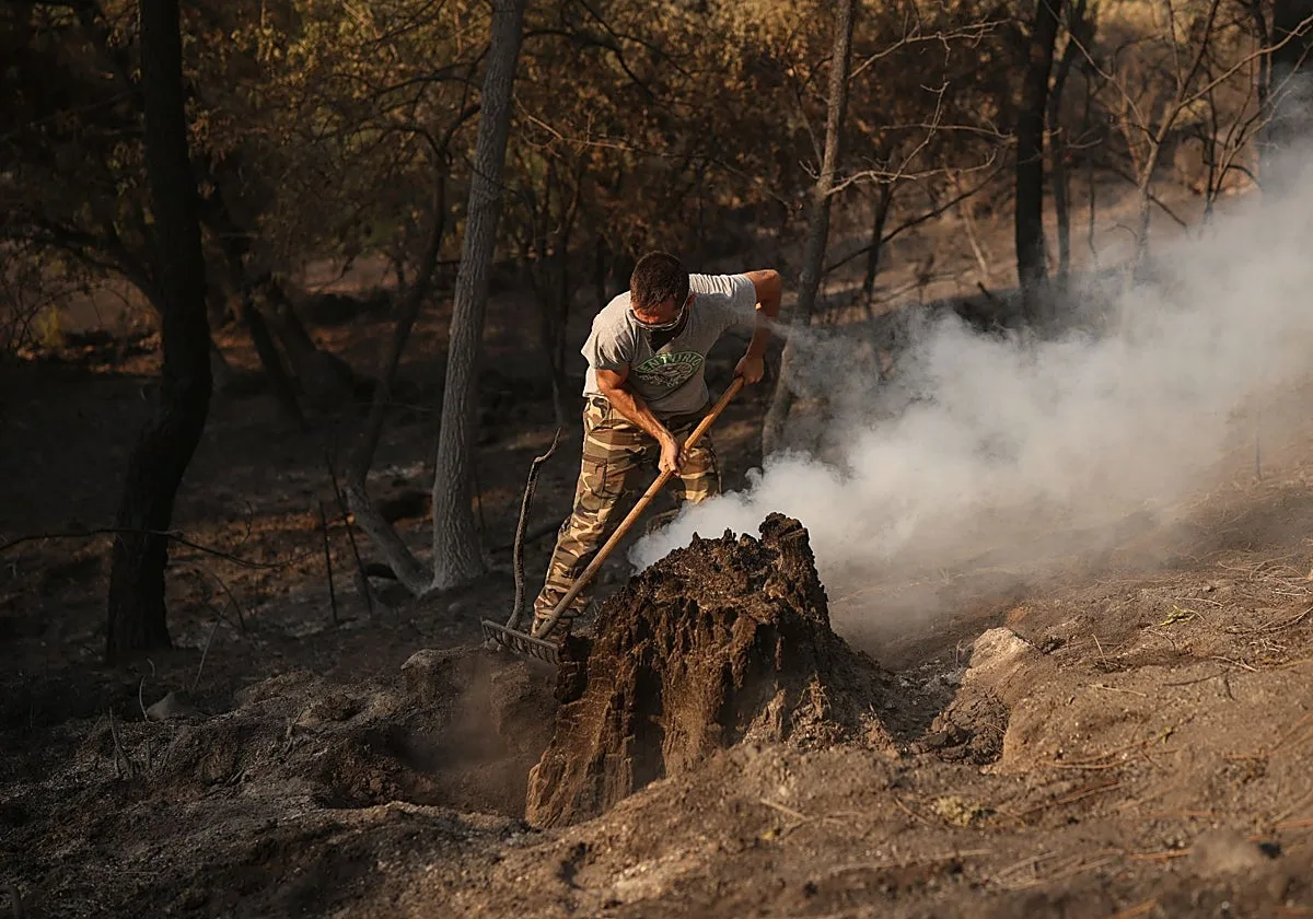 La Junta reparte 1,86 millones entre 339 agricultores, ganaderos y apicultores afectados por los incendios