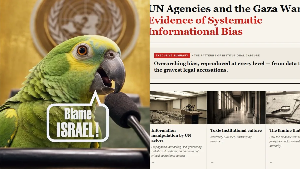 Governo Netanyahu chama críticos de 'papagaios' e acusa ONU de 'viés sistemático' contra Israel; VÍDEO