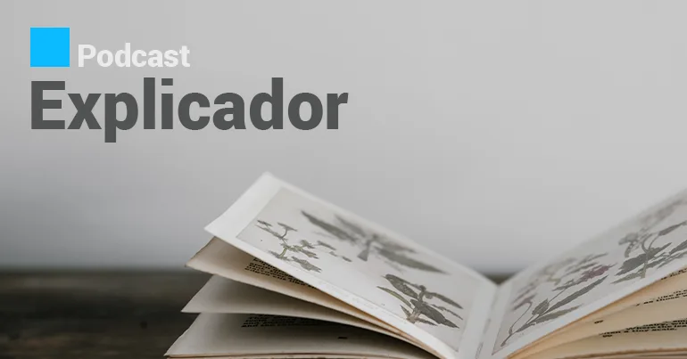 Rentrée do Estado na REN vai baixar o preço da eletricidade?