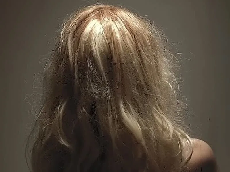 TRE/SP libera vídeo em que Pavanato chama Erika de "travesti do Lula"