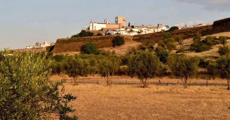 Alentejo 2030: 3,5 milhões para contratar altos cargos