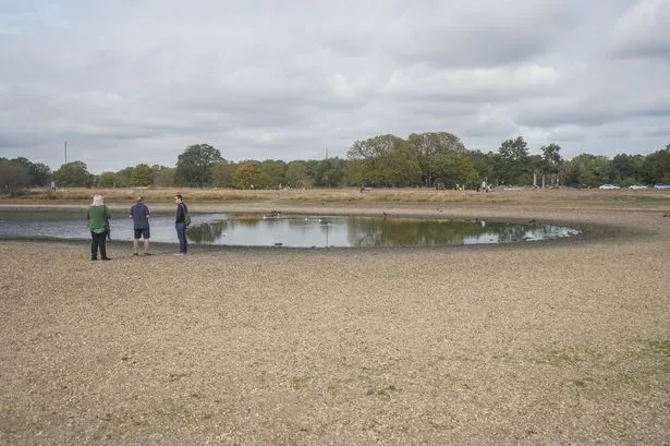 Urgent water warning as severe drought declared in 6 UK counties - full list