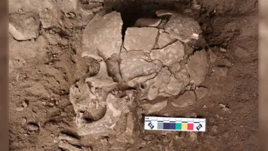 Un hallazgo en Indonesia revela el consumo de sustancias psicoactivas hace 25.000 años