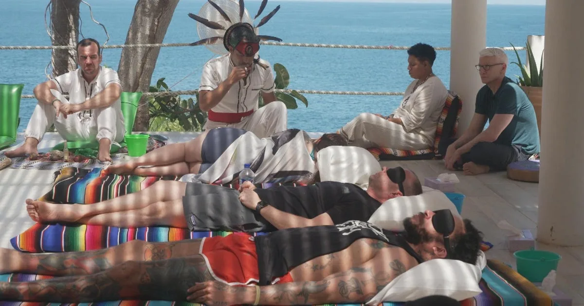 Veterans with PTSD travel to other countries to access psychedelics