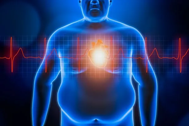 Beer belly or muffin top? Study reveals which type of fat is worse for our health