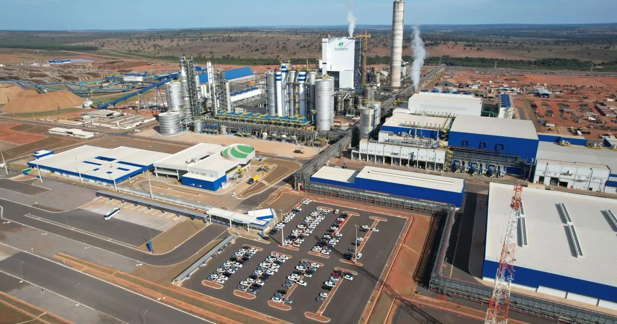 Suzano tem lucro de R$ 1,8 bi no 2º tri de 2026, queda de 64%