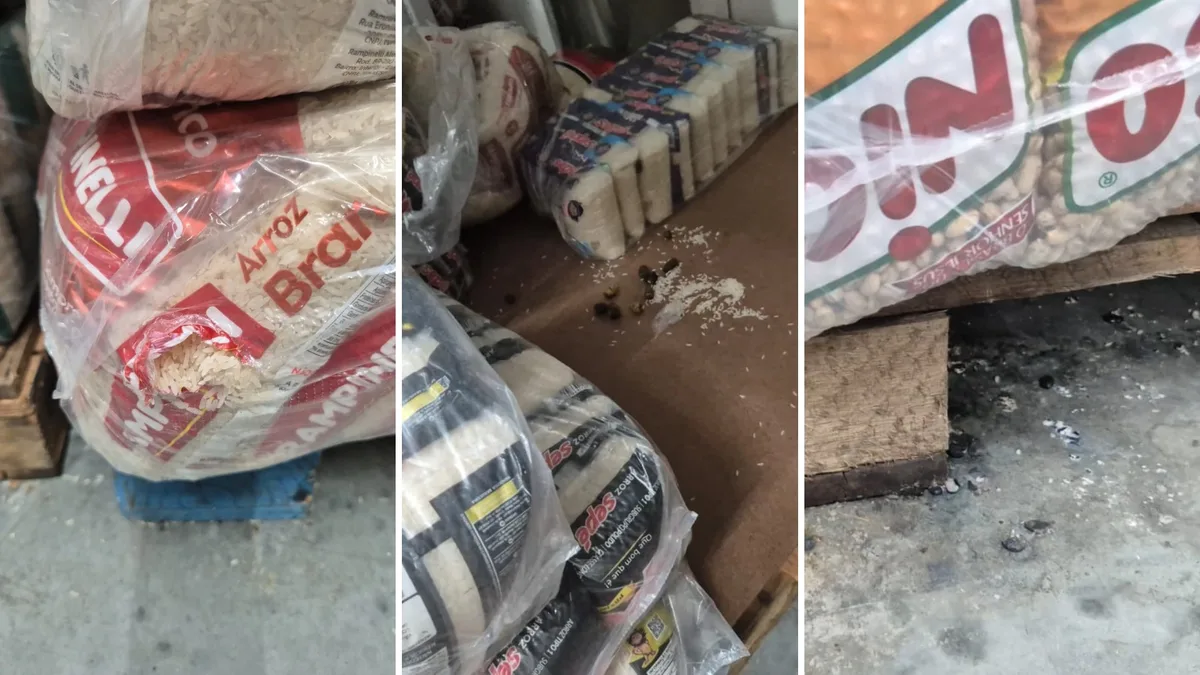 Duas toneladas de alimentos rasgados e guardados junto a fezes de animais são apreendidas em supermercado em Vitória