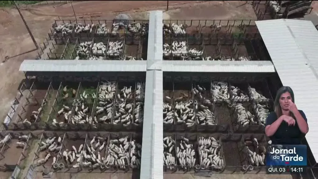 Importação suspensa. Carne do Brasil impedida de entrar na UE