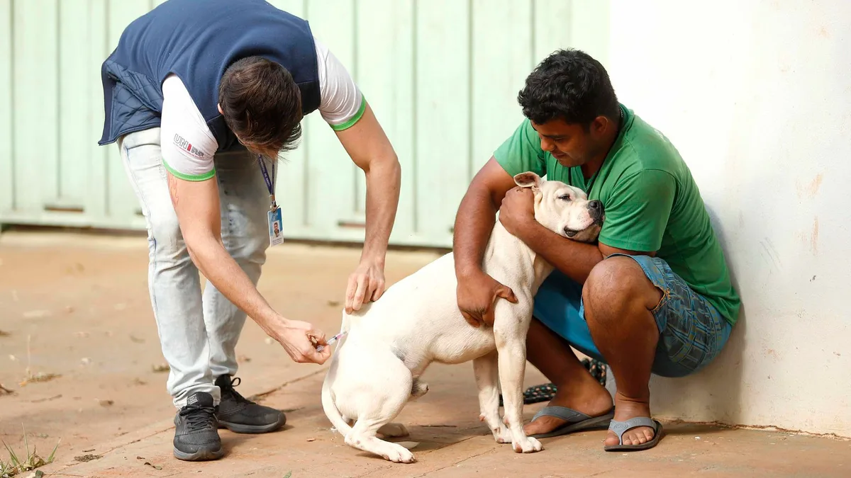 Vacinação antirrábica porta a porta passa por 5 bairros de Natal nesta semana; veja locais