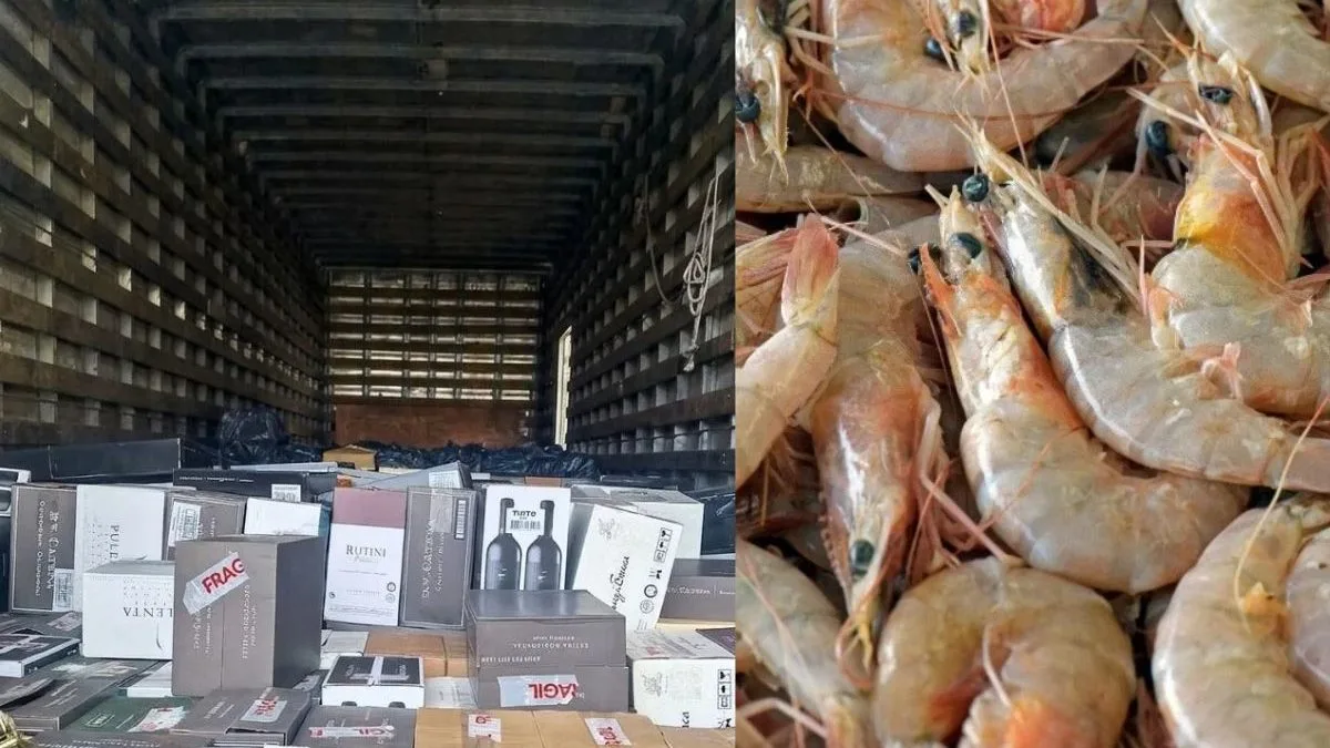 Caminhão que carregava quatro toneladas de camarão e garrafas de vinho tinha como destino Litoral de SC