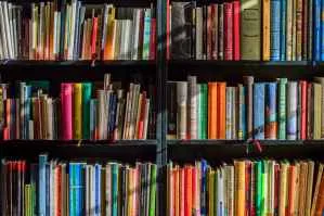 Ser Educacional (SEER3) tem lucro ajustado de R$ 115 mi no 2º tri, alta anual de 33%