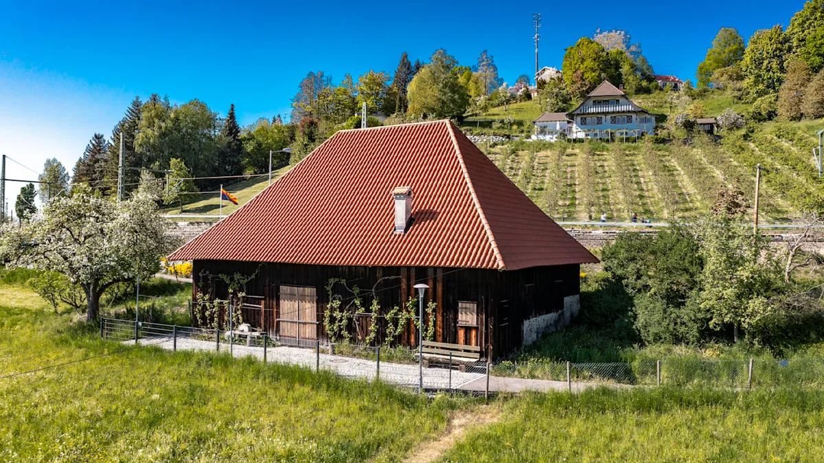 250 Jahre alter Dachstuhl am Bodensee - Holzwurm-Angriff auf Kulturdenkmal gestoppt