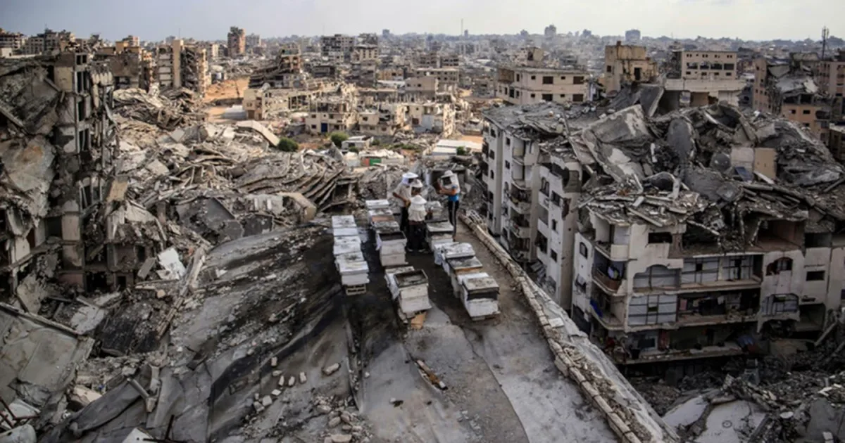 Israel atacó un complejo hospitalario en Gaza en busca de un comandante de Hamás