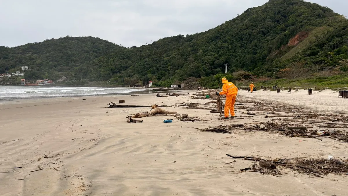 Praias de cidade de SC têm 73 toneladas de resíduos retiradas em 53 caminhões durante 20 dias