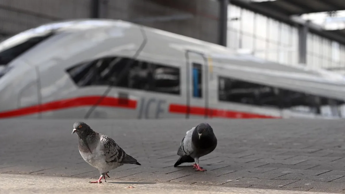 Nah- und Fernverkehr: Deutsche Bahn stellt neuen Fahrplan für 2027 vor